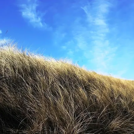 公寓 Schober 库克斯港