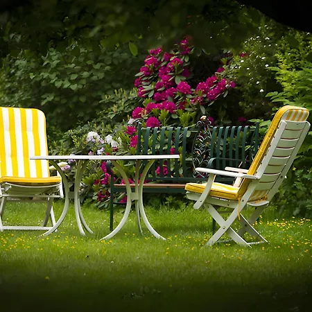 Schober Apartament *