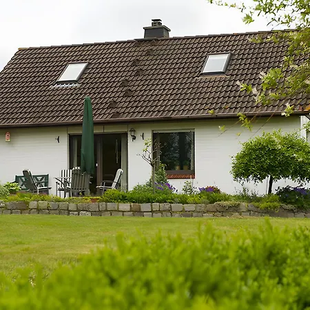 Schober 库克斯港