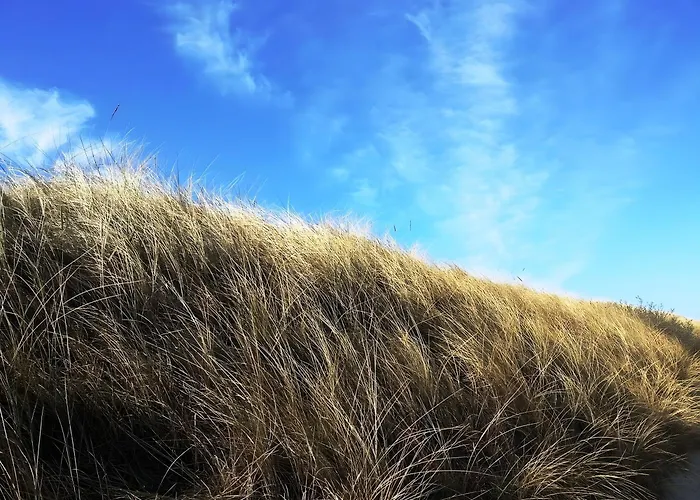 公寓 Schober 库克斯港